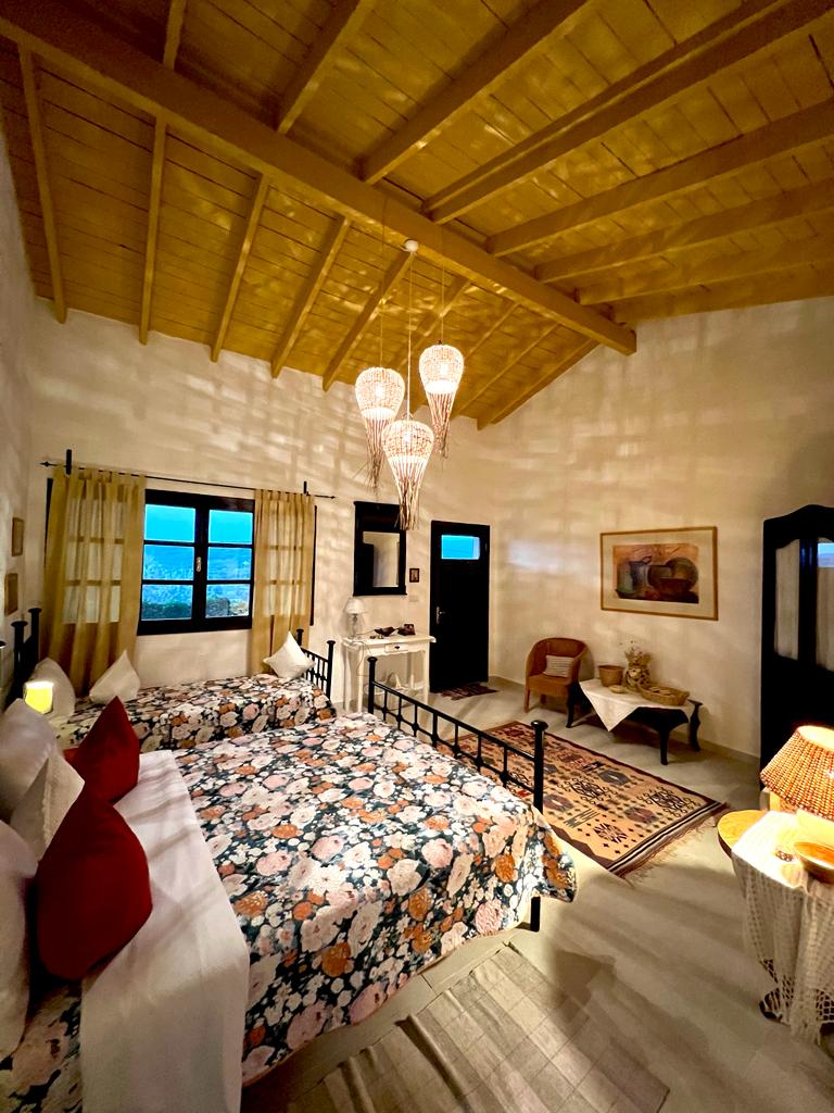 The Olive Suite